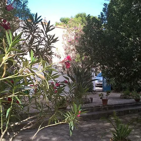 Frühstückspension Il Carrubo San Vito Lo Capo